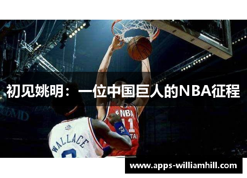 初见姚明：一位中国巨人的NBA征程