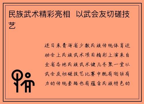 民族武术精彩亮相  以武会友切磋技艺